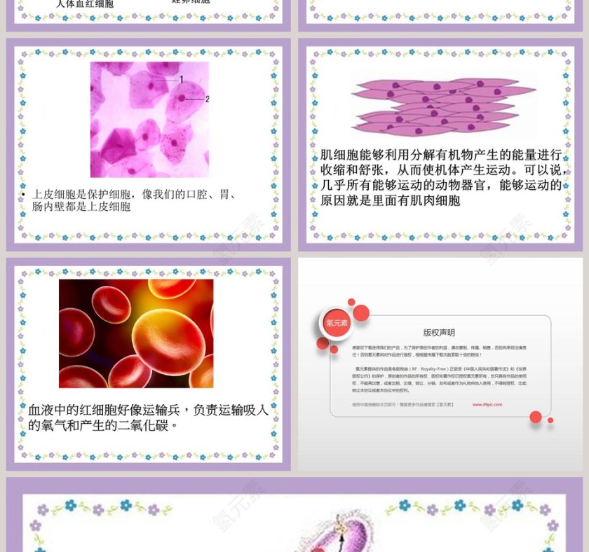解开生物体结构-的秘密教学ppt课件第4张