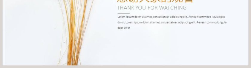 小清新简约汇报PPT模板第5张