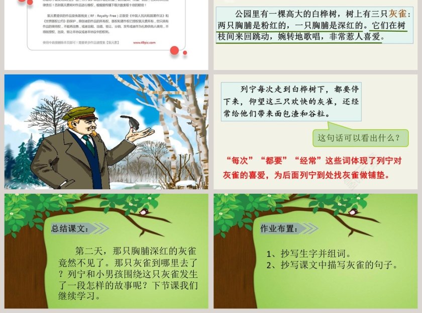 课文解读灰雀语文课件PPT第3张