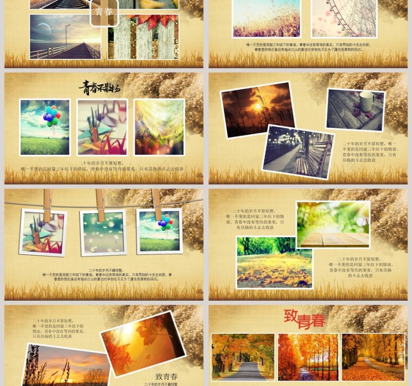 相聚20年PPT第3张