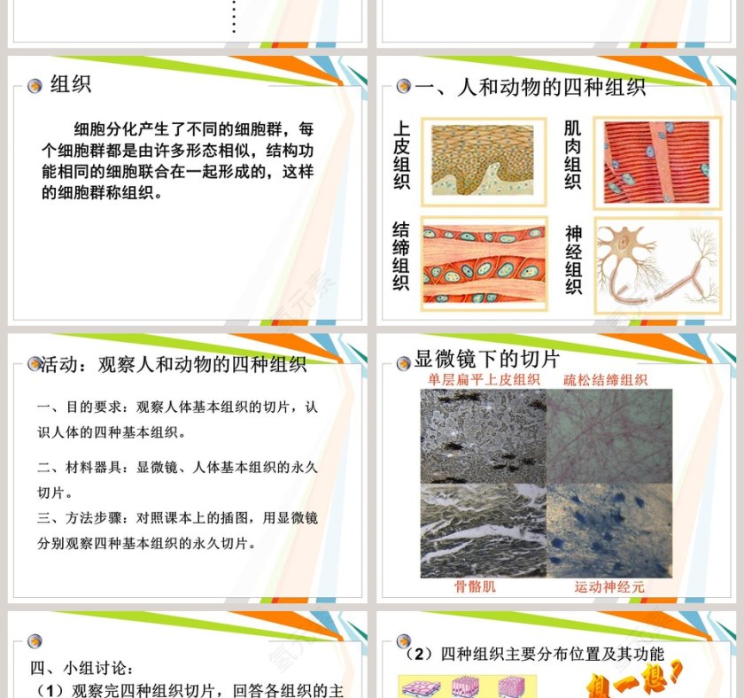 教学ppt课件第2张