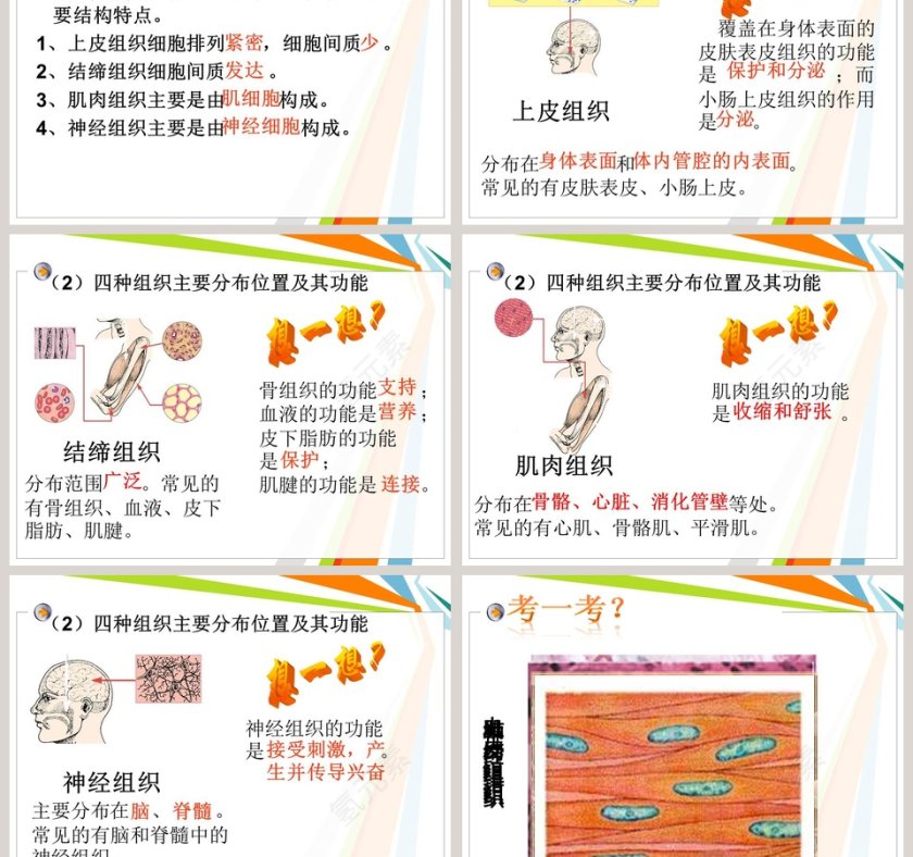 教学ppt课件第3张