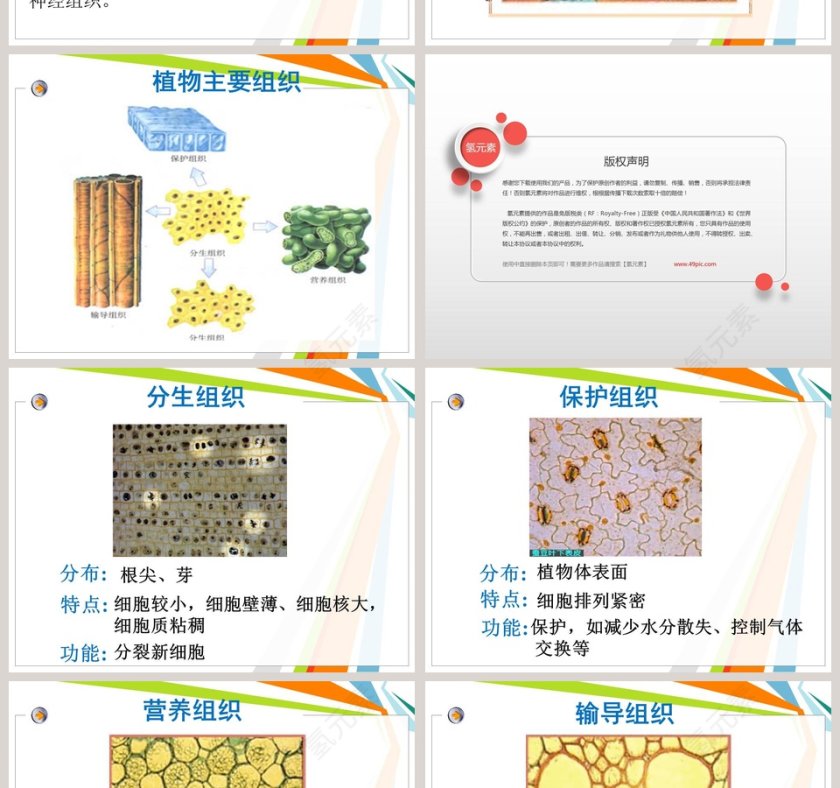 教学ppt课件第4张