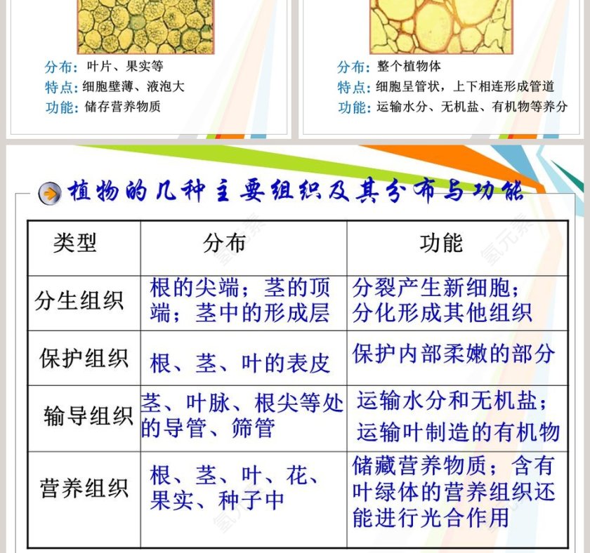 教学ppt课件第5张