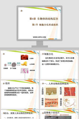 教学ppt课件