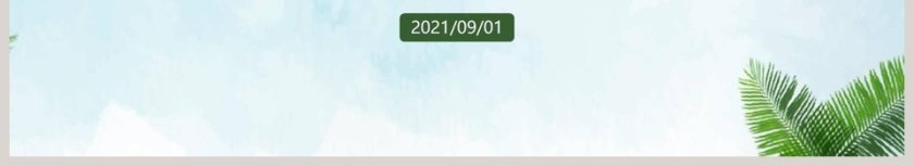 清新绿叶工作总结汇报通用PPT模板第6张