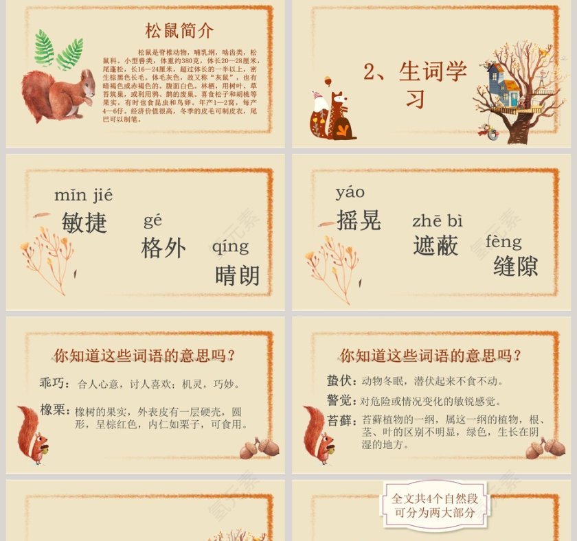 五年级语文课件PPT松鼠第2张