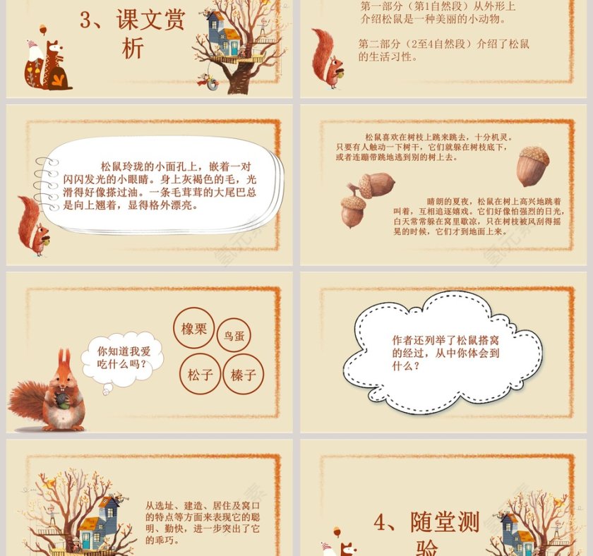 五年级语文课件PPT松鼠第3张