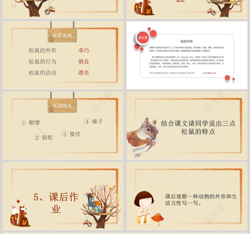 五年级语文课件PPT松鼠第4张