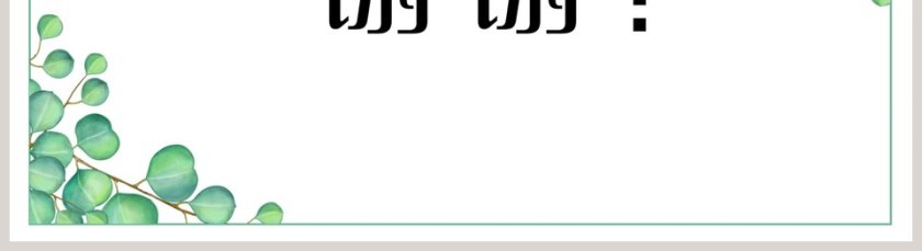 小清新总结答辩教学多用模板PPT第5张