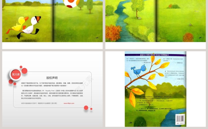 鸭子，鹅幼儿园绘本教育课件第5张