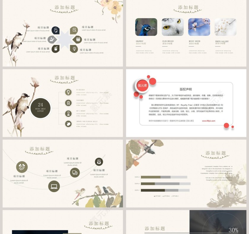 欧美复古绘鸟PPT模板第5张