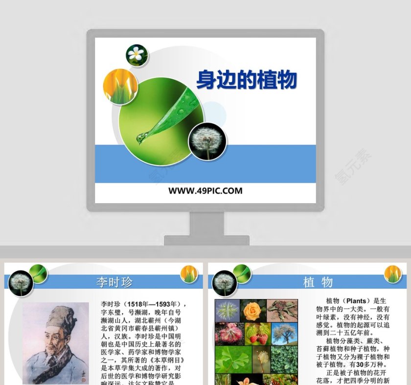 身边的植物教学ppt课件第1张