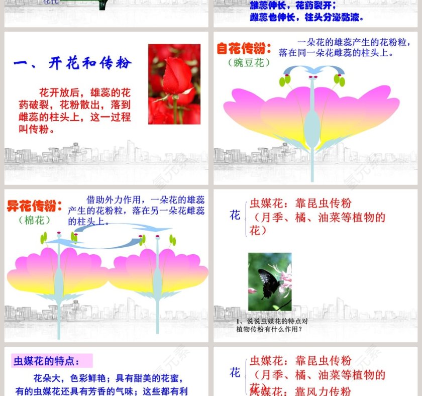 植物生殖方式的多样性教学ppt课件第2张