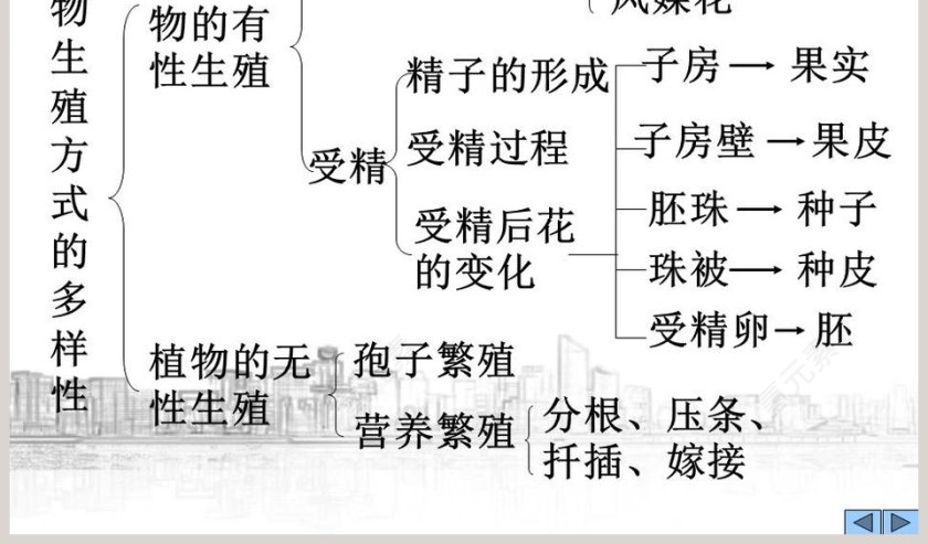 植物生殖方式的多样性教学ppt课件第11张