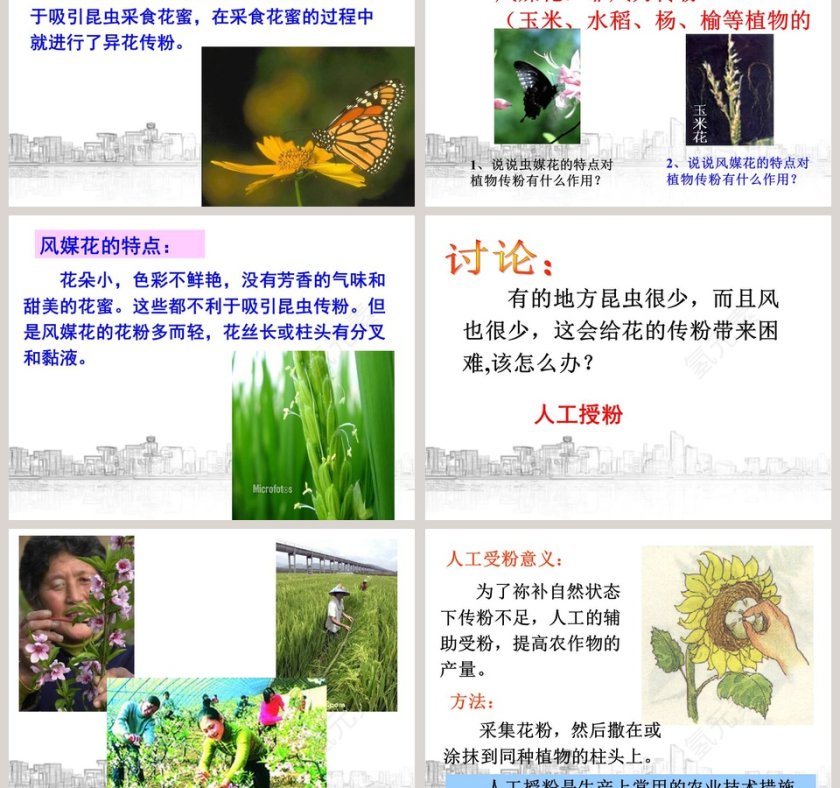 植物生殖方式的多样性教学ppt课件第3张