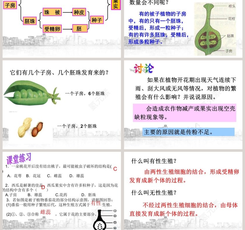 植物生殖方式的多样性教学ppt课件第5张