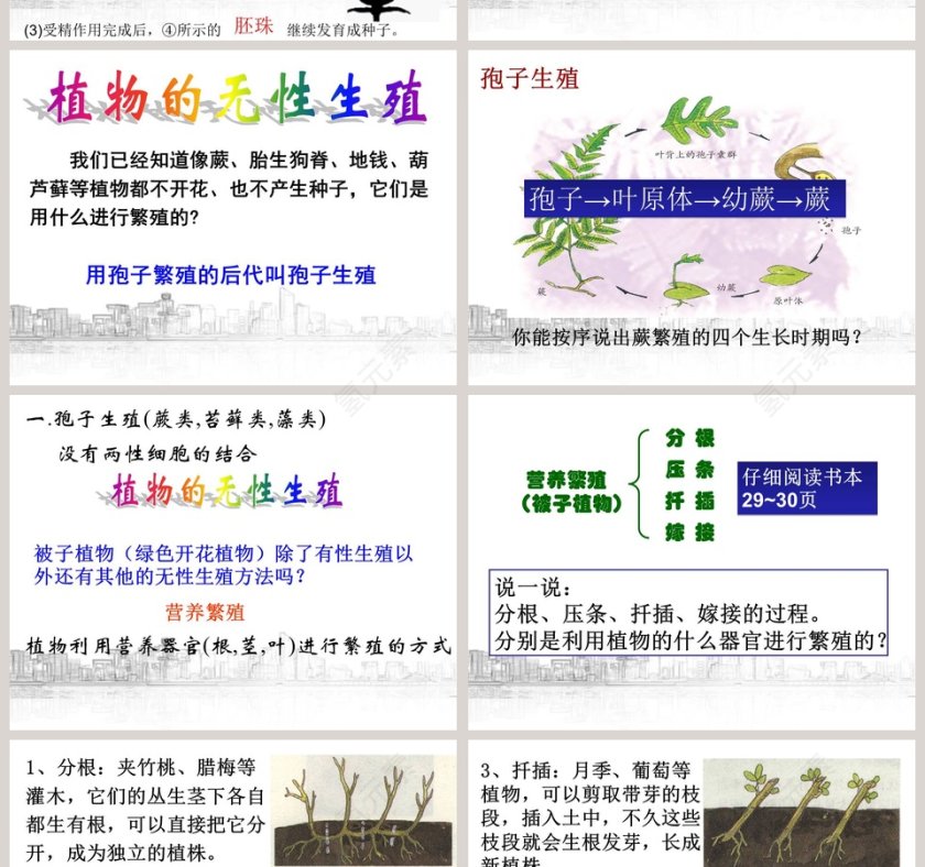植物生殖方式的多样性教学ppt课件第6张