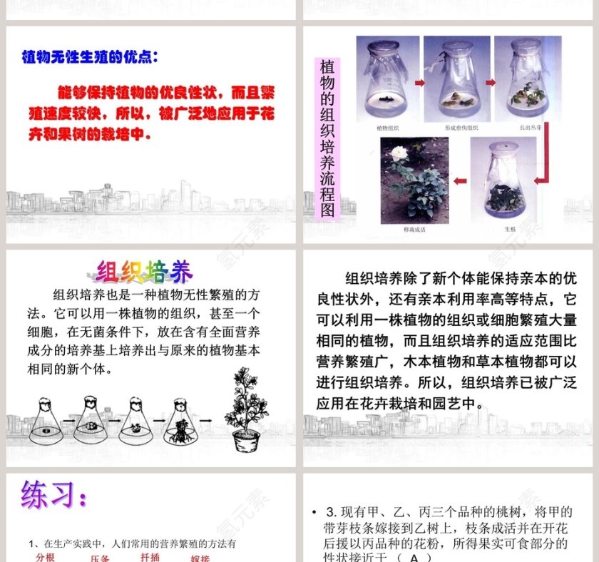 植物生殖方式的多样性教学ppt课件第8张