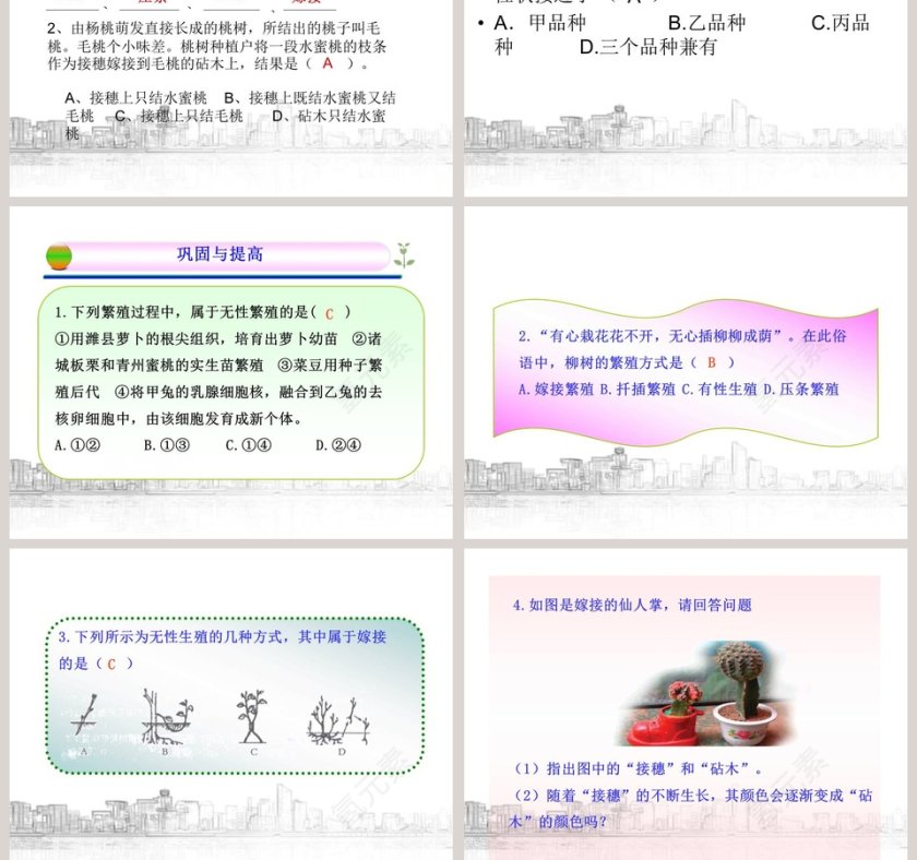 植物生殖方式的多样性教学ppt课件第9张