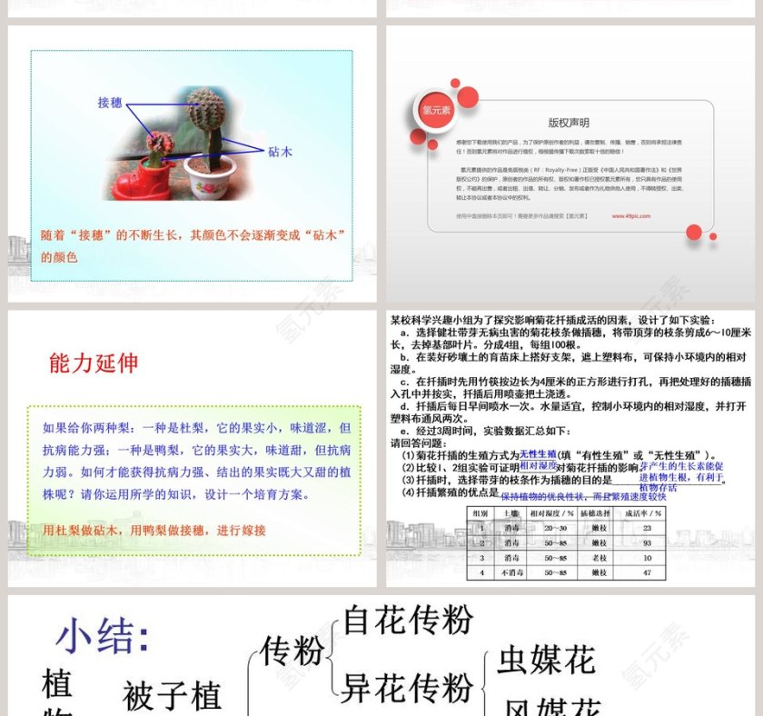植物生殖方式的多样性教学ppt课件第10张