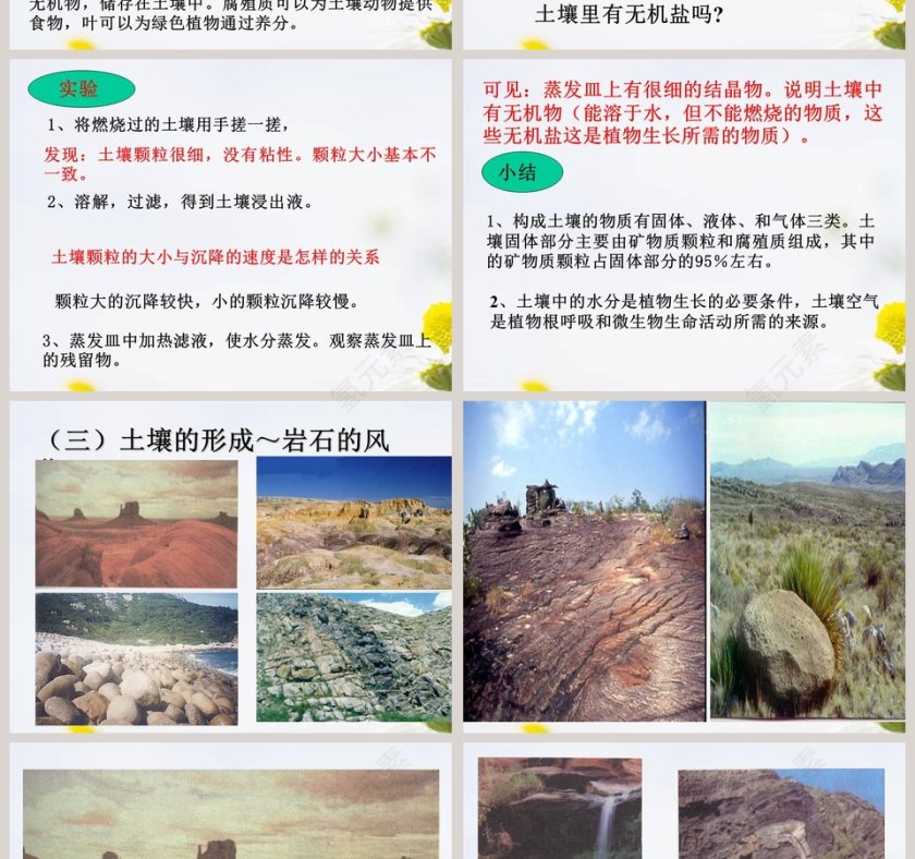 土壤中有什么教学ppt课件第4张