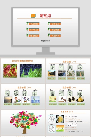 课文解析葡萄沟语文课件PPT