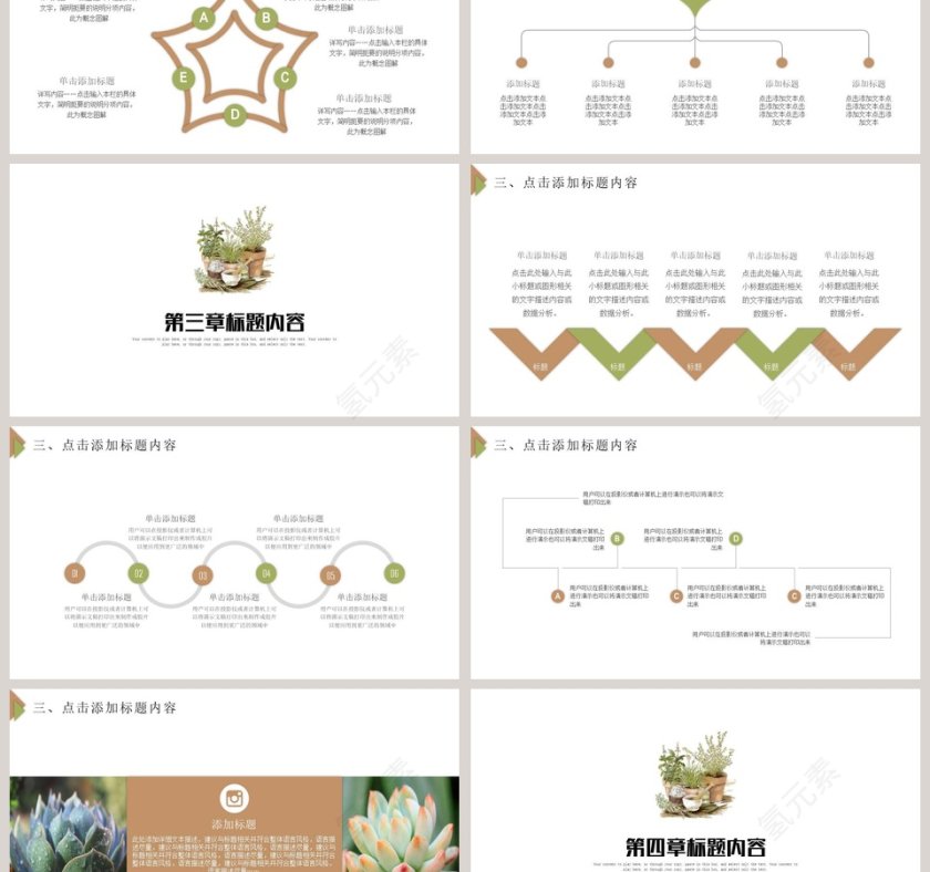 多肉植物ppt第3张
