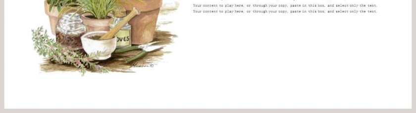 多肉植物ppt第5张