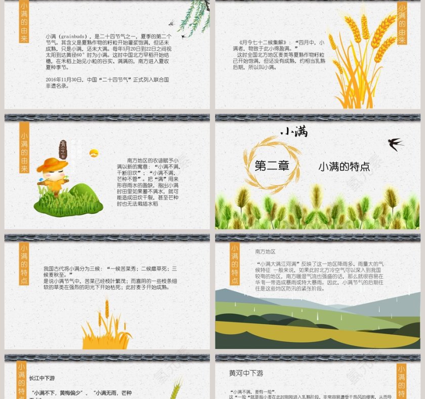 简约麦穗二十四节气之小满ppt模板第2张