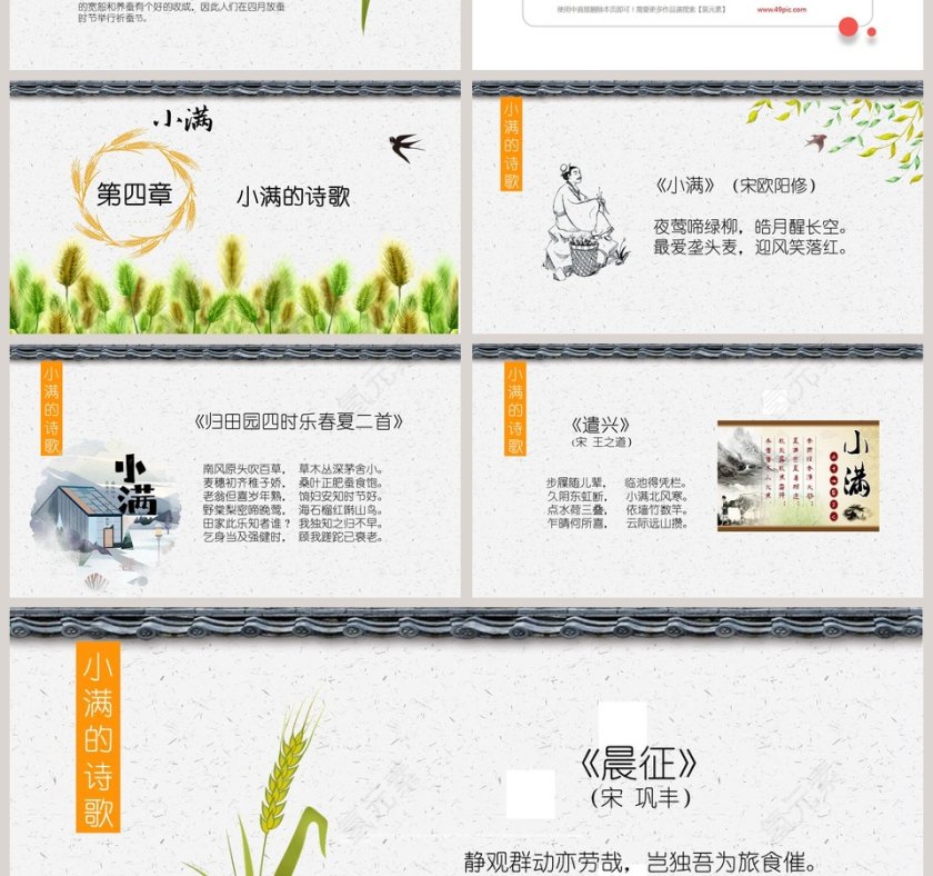 简约麦穗二十四节气之小满ppt模板第4张