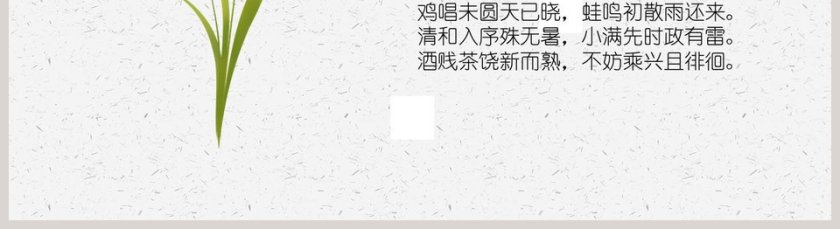 简约麦穗二十四节气之小满ppt模板第5张