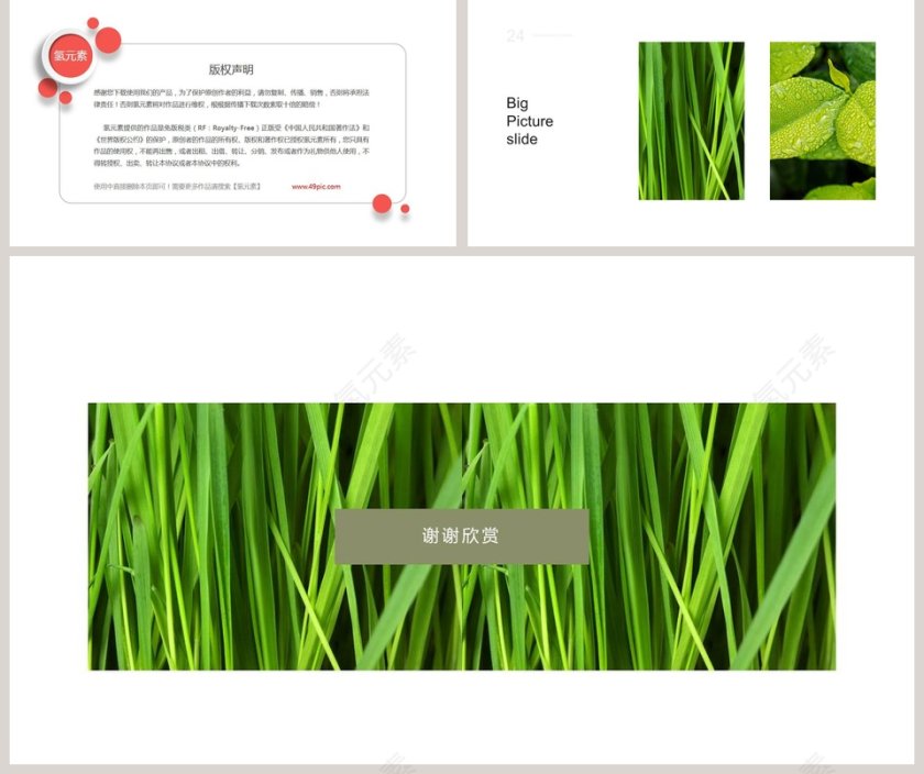 健康饮食时尚ppt模板第5张