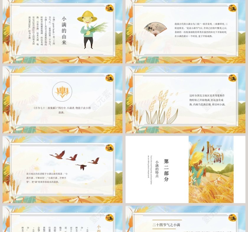 简约麦穗二十四节气之小满ppt模板第2张