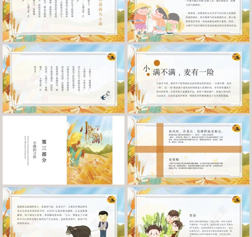 简约麦穗二十四节气之小满ppt模板第3张