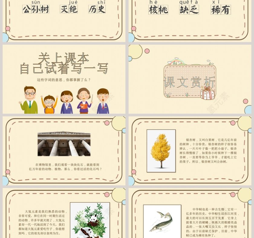 人教版小学二年级课件PPT模板活化石读书分享会说课ppt课件第3张