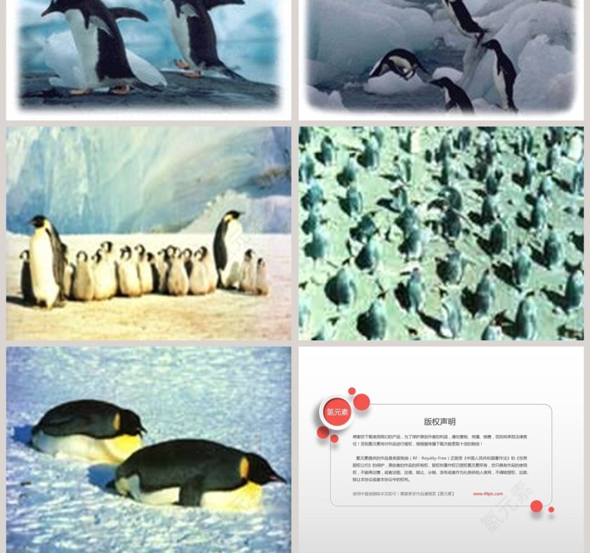 幼儿园大班科学科学PPT：科学PPT第11张