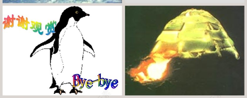 幼儿园大班科学科学PPT：科学PPT第12张