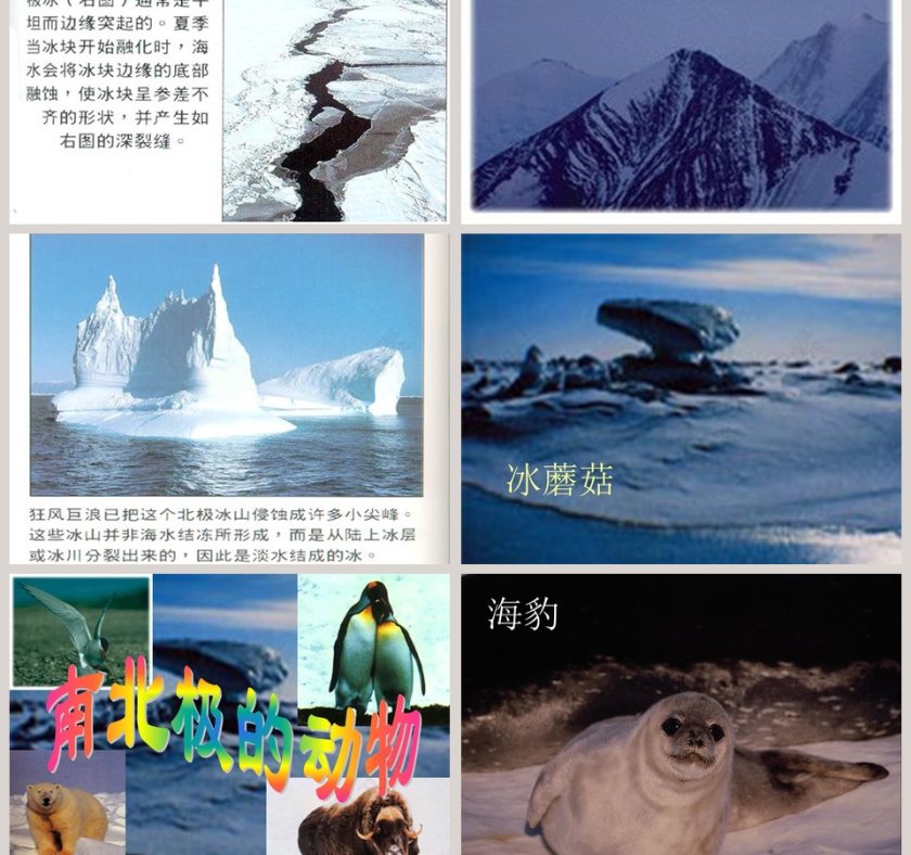 幼儿园大班科学科学PPT：科学PPT第3张