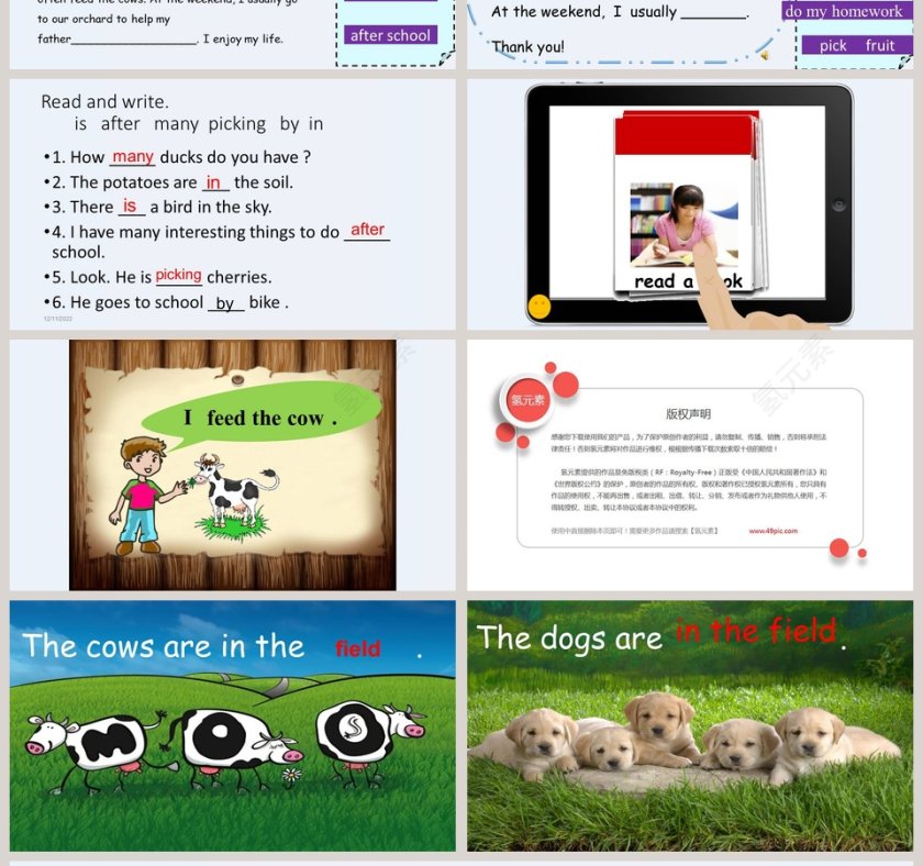 Unit5   Country Life-教学ppt课件第4张