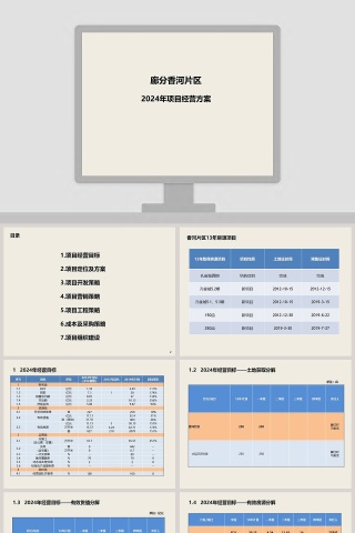 房地产项目经营方案PPT