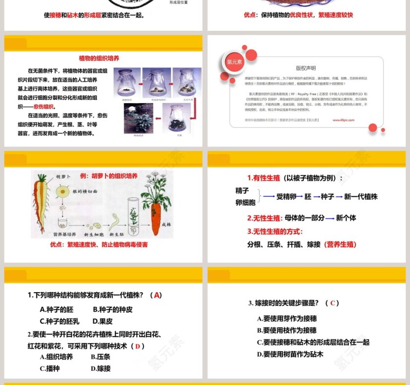 第一章 生物的生殖和发育-植物的生殖教学ppt课件第4张