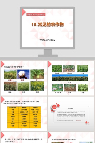 18-常见的农作物教学ppt课件