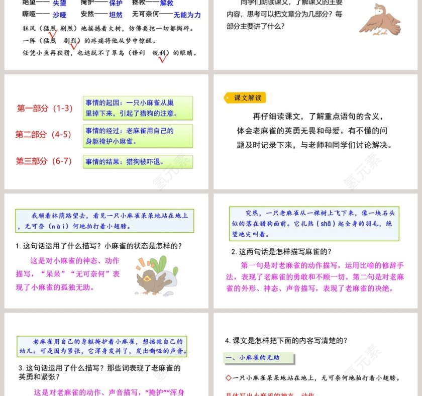课文解析四年级语文上册麻雀语文课件PPT第3张