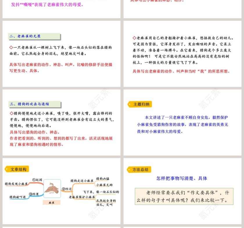 课文解析四年级语文上册麻雀语文课件PPT第4张