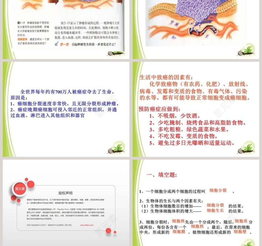 细胞通过分裂而增殖的生物学原理及PPT模板第7张