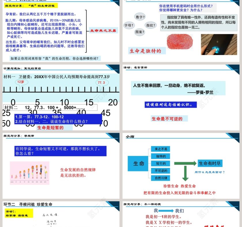 第四单元  生命的思考-第八课  探问生命教学ppt课件第2张