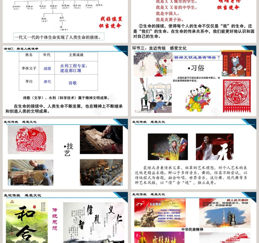 第四单元  生命的思考-第八课  探问生命教学ppt课件第3张