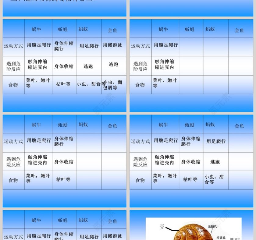 我们和动物有哪些相同和不同教学ppt课件第2张