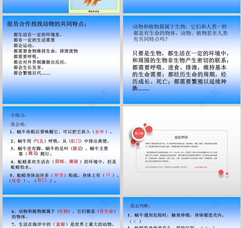 我们和动物有哪些相同和不同教学ppt课件第4张